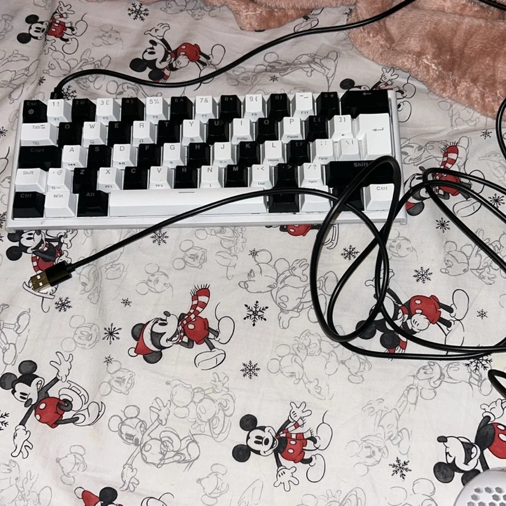 Computer Keyboard and mouse - Picture 8 of 9